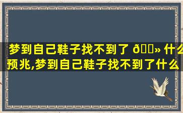 梦到自己鞋子找不到了 🌻 什么预兆,梦到自己鞋子找不到了什么预兆解梦